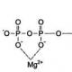 Pürin nükleotidlerinin biyosentezi