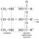 Формула оцтової кислоти